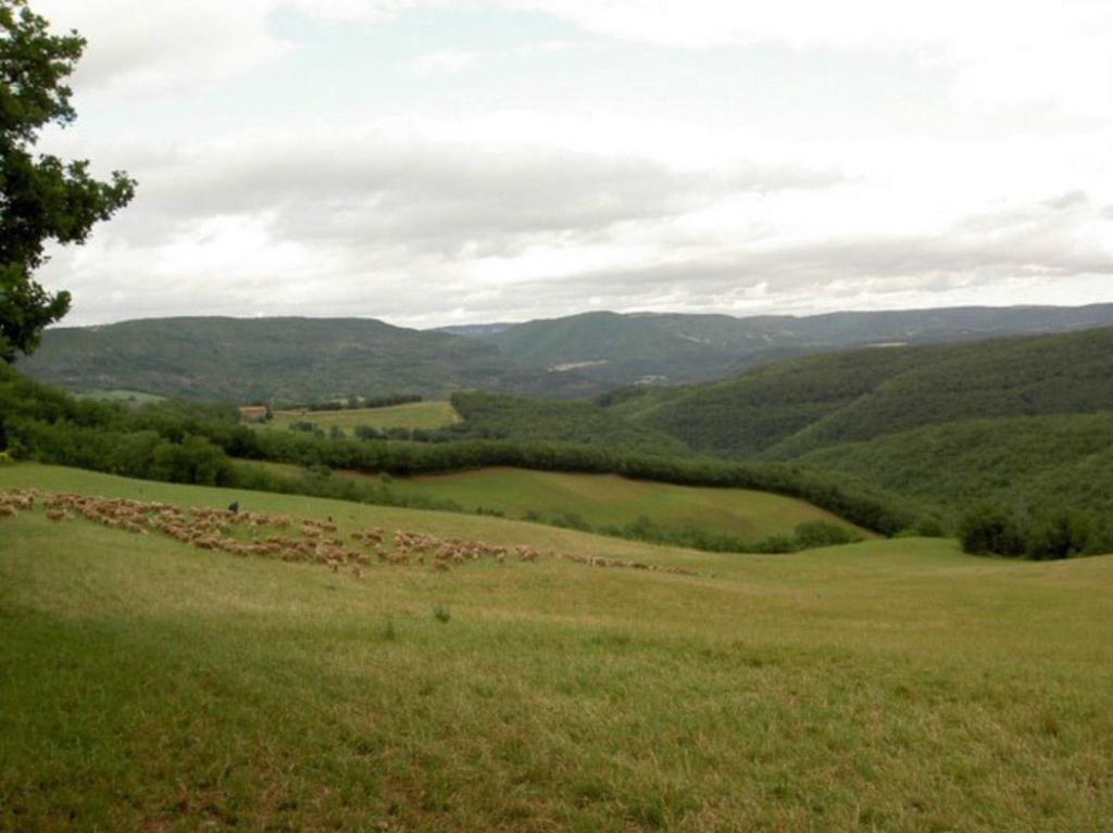 Gite L'Oustal Occitan A Saint-Juery Villa Екстериор снимка